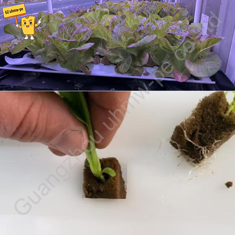 HDPE Hydroponic Grow Trays for Commercial Farming